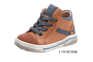 I 1918C06B