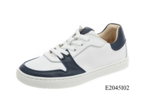 E2045I02-